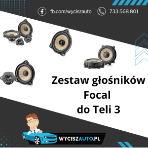 Tesla 3 Zestaw głośników Focal w przednie, tylne drzwi, głośnik centralny oraz głośniki niskotonowe