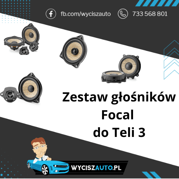 Zestaw głośników do Teli 3 (1) Tesla 3 Zestaw głośników Focal w przednie, tylne drzwi, głośnik centralny oraz głośniki niskotonowe